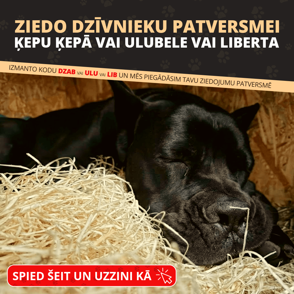 Labdarības akcija