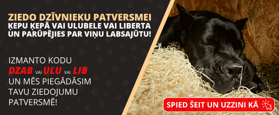 Labdarības akcija