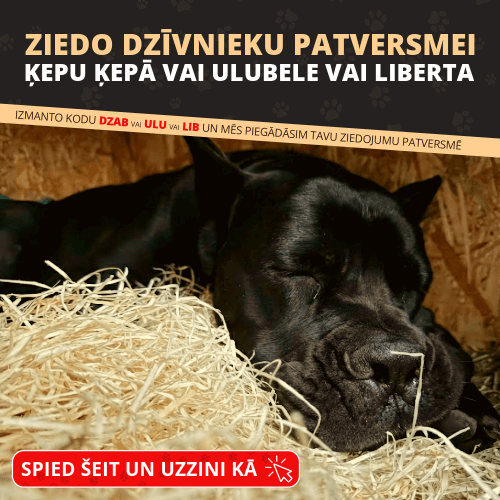 Labdarības akcija