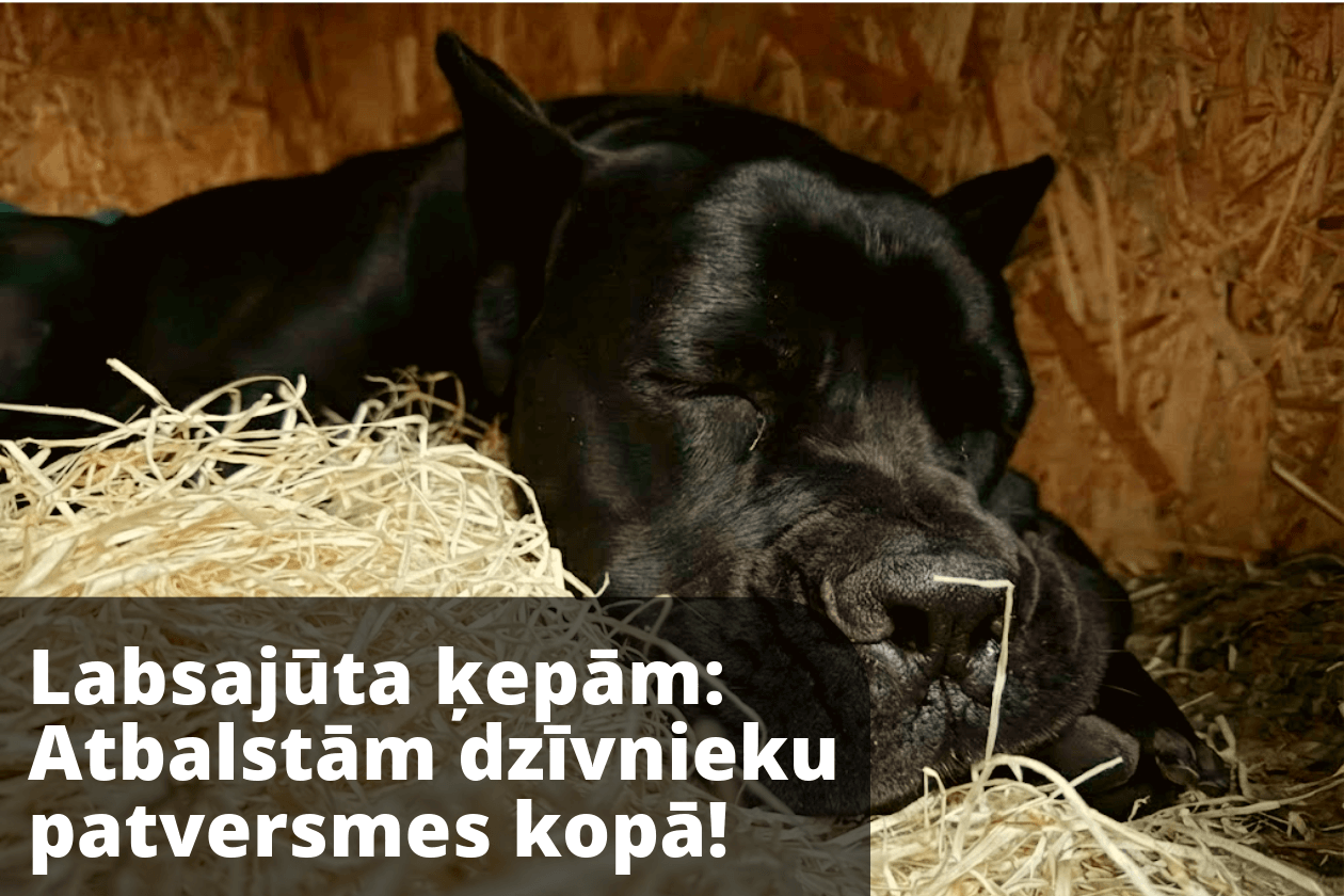 Labsajūta ķepām: Atbalstām biedrību "Ķepu Ķepā" un "ULUBELE" un "LIBERTA" kopā!