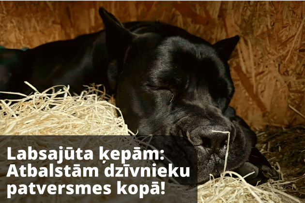 Labsajūta ķepām: Atbalstām biedrību "Ķepu Ķepā" un "ULUBELE" un "LIBERTA" kopā!