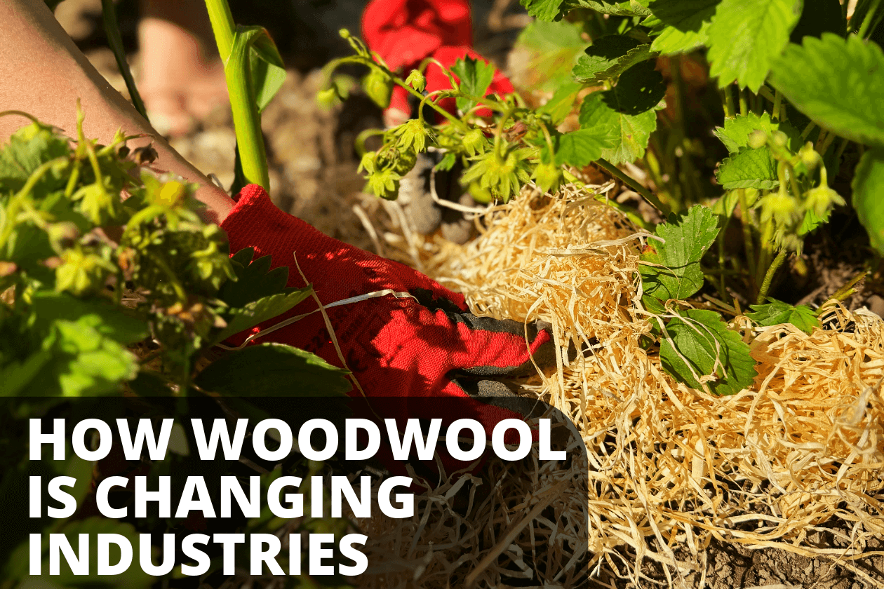 How wood wool is changing industries