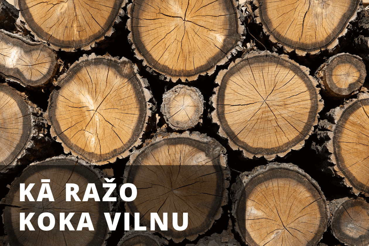 Koka vilnas ražošanas process