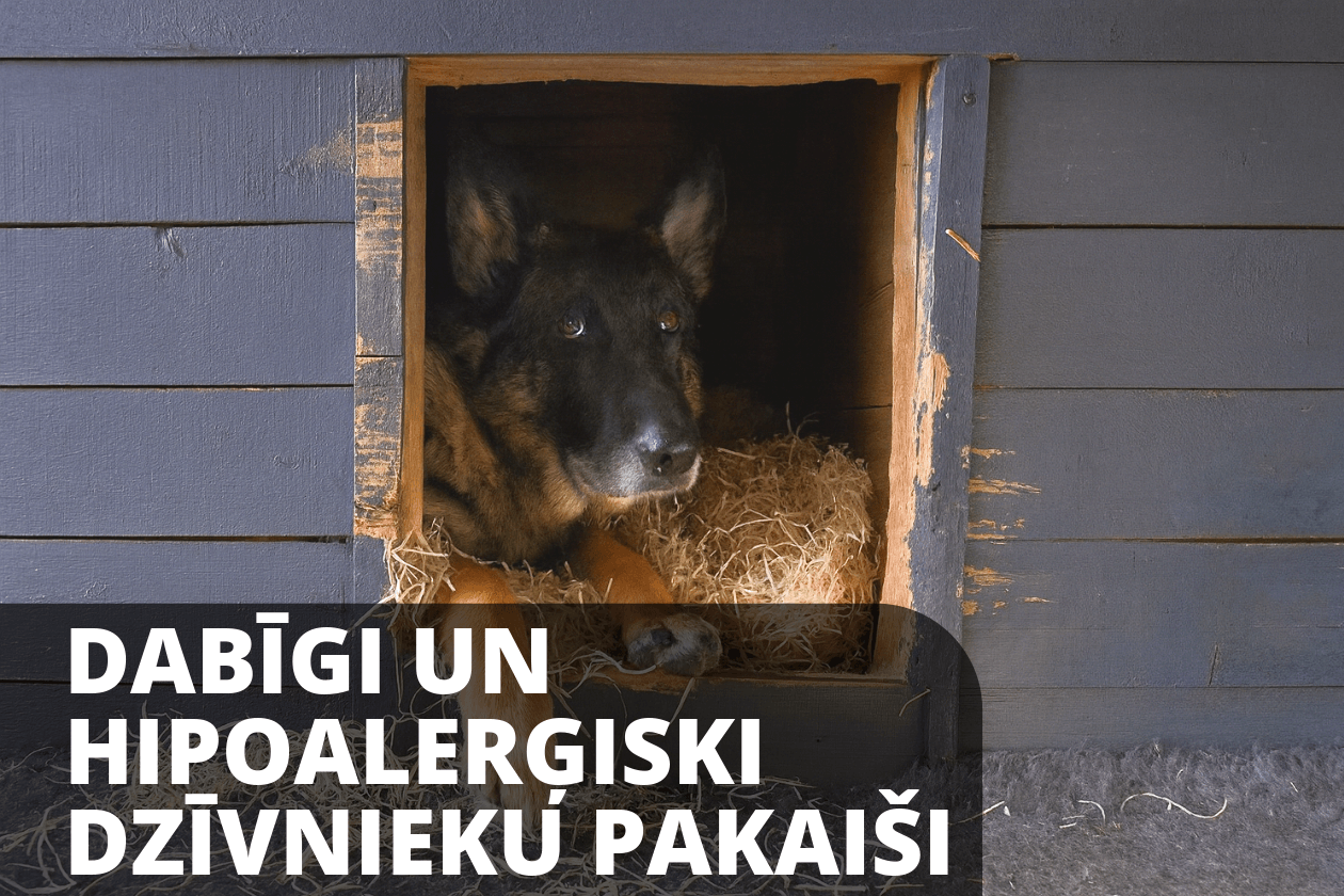 koka-vilnas-pielietojums-prieksrocibas