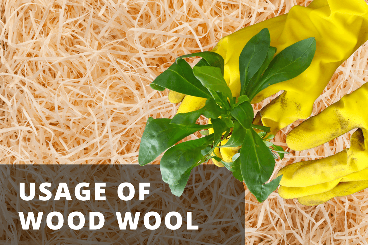 Wood wool usage — packaging, garden, pets