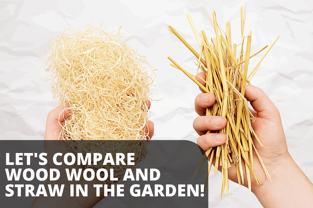 Benefits of wood wool — natural and compostable